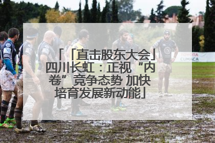 「直击股东大会」四川长虹：正视“内卷”竞争态势 加快培育发展新动能