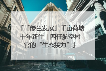 「绿色发展」千亩荷塘 十年新生｜四任航空村官的“生态接力”