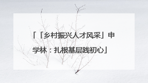 「乡村振兴人才风采」申学林：扎根基层践初心