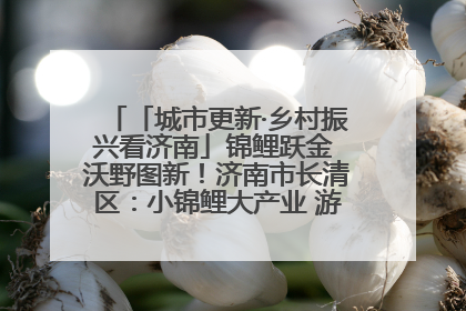 「城市更新·乡村振兴看济南」锦鲤跃金 沃野图新！济南市长清区：小锦鲤大产业 游出农旅新风景