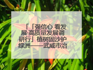「强信心 看发展·高质量发展调研行」植树固沙护绿洲——武威市治沙造林筑牢生态安全屏障见闻