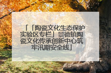 「陶瓷文化生态保护实验区专栏」景德镇陶瓷文化传承创新中心筑牢汛期安全线