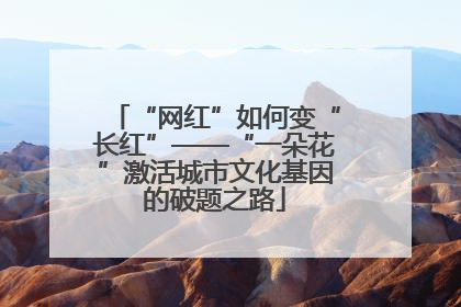 “网红”如何变“长红”——“一朵花”激活城市文化基因的破题之路