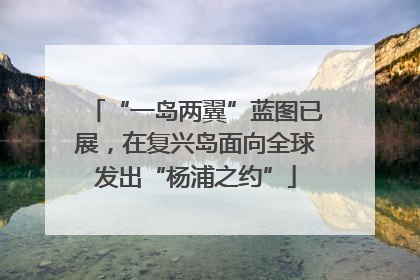 “一岛两翼”蓝图已展，在复兴岛面向全球发出“杨浦之约”