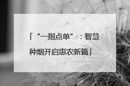 “一指点单”：智慧种烟开启惠农新篇