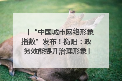 “中国城市网络形象指数”发布！衡阳：政务效能提升治理形象