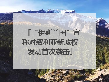 “伊斯兰国”宣称对叙利亚新政权发动首次袭击