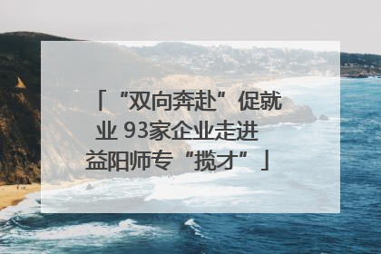 “双向奔赴”促就业 93家企业走进益阳师专“揽才”