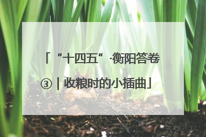 “十四五”·衡阳答卷③｜收粮时的小插曲