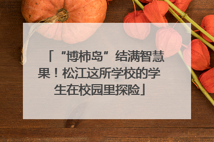 “博柿岛”结满智慧果！松江这所学校的学生在校园里探险