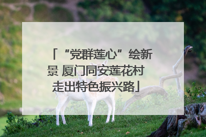 “党群莲心”绘新景 厦门同安莲花村走出特色振兴路
