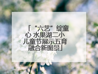 “六艺”绽童心 水果湖二小儿童节展示五育融合新图景