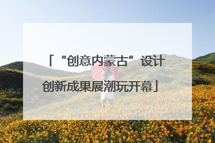 “创意内蒙古”设计创新成果展潮玩开幕
