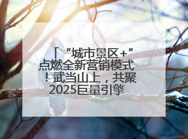 “城市景区+”点燃全新营销模式！武当山上，共聚2025巨量引擎城市生态大会！