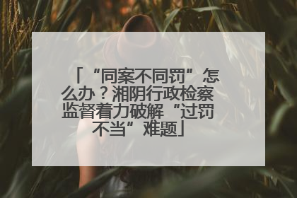 “同案不同罚”怎么办？湘阴行政检察监督着力破解“过罚不当”难题