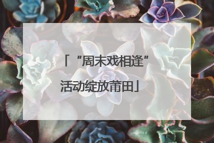 “周末戏相逢”活动绽放莆田