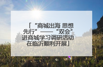 “商城出海 思想先行”——“双会”进商城学习调研活动在临沂顺利开展