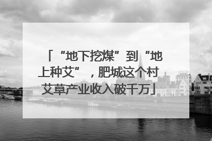 “地下挖煤”到“地上种艾”，肥城这个村艾草产业收入破千万