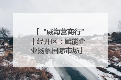 “威海营商行”｜经开区：赋能企业扬帆国际市场