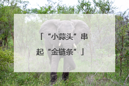 “小蒜头”串起“金链条”