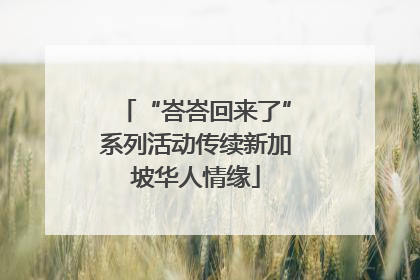 “峇峇回来了”系列活动传续新加坡华人情缘