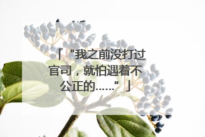 “我之前没打过官司，就怕遇着不公正的……”