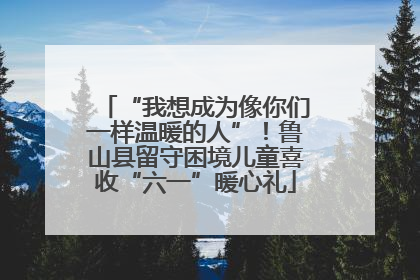“我想成为像你们一样温暖的人”！鲁山县留守困境儿童喜收“六一”暖心礼