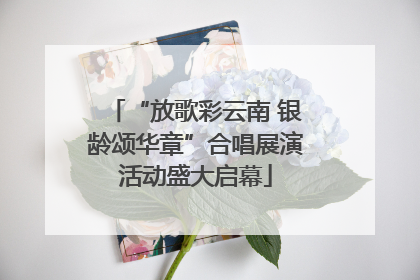 “放歌彩云南 银龄颂华章”合唱展演活动盛大启幕