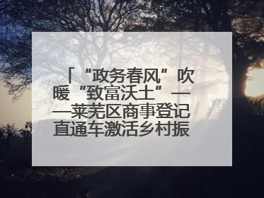 “政务春风”吹暖“致富沃土”——莱芜区商事登记直通车激活乡村振兴“一池春水”