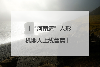 “河南造”人形机器人上线售卖