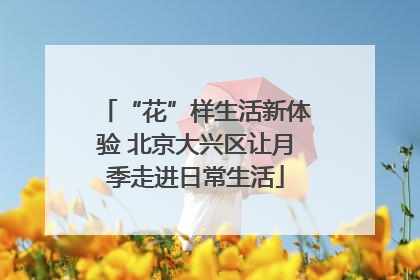 “花”样生活新体验 北京大兴区让月季走进日常生活