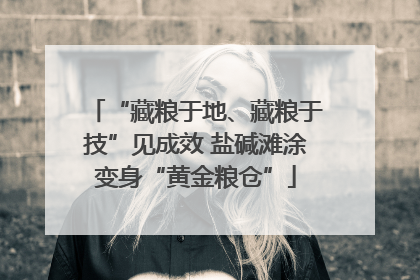 “藏粮于地、藏粮于技”见成效 盐碱滩涂变身“黄金粮仓”