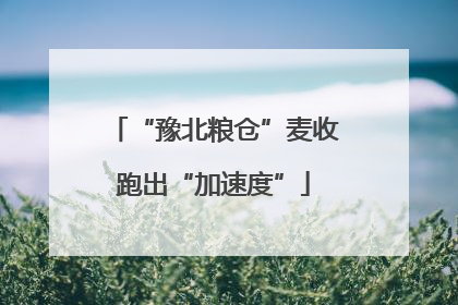 “豫北粮仓”麦收跑出“加速度”