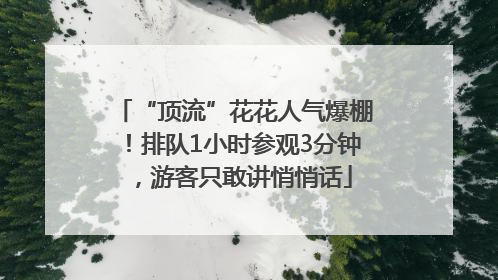 “顶流”花花人气爆棚！排队1小时参观3分钟，游客只敢讲悄悄话