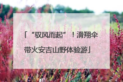 “驭风而起”！滑翔伞带火安吉山野体验游