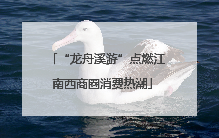 “龙舟溪游”点燃江南西商圈消费热潮