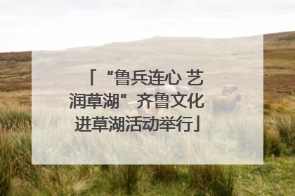 “鲁兵连心 艺润草湖”齐鲁文化进草湖活动举行
