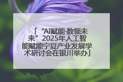 “AI赋能·数领未来”2025年人工智能赋能宁夏产业发展学术研讨会在银川举办