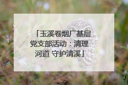 玉溪卷烟厂基层党支部活动：清理河道 守护清溪
