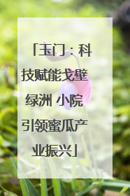 玉门：科技赋能戈壁绿洲 小院引领蜜瓜产业振兴