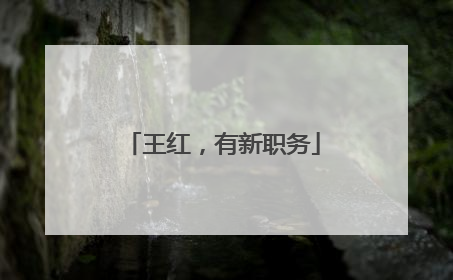 王红，有新职务