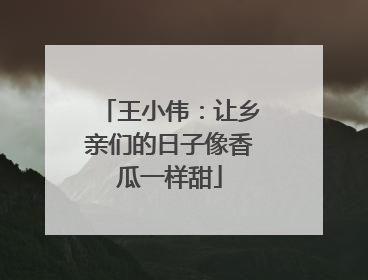王小伟：让乡亲们的日子像香瓜一样甜