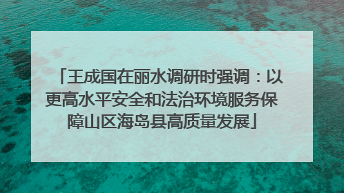 王成国在丽水调研时强调：以更高水平安全和法治环境服务保障山区海岛县高质量发展