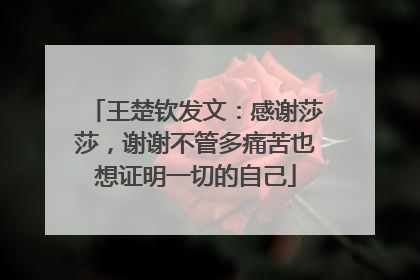 王楚钦发文：感谢莎莎，谢谢不管多痛苦也想证明一切的自己