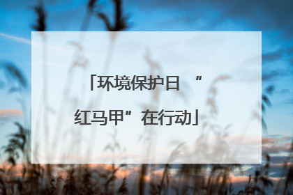环境保护日 “红马甲”在行动