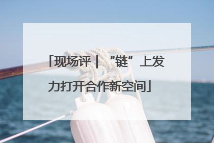 现场评｜“链”上发力打开合作新空间