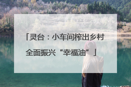 灵台：小车间榨出乡村全面振兴“幸福油”