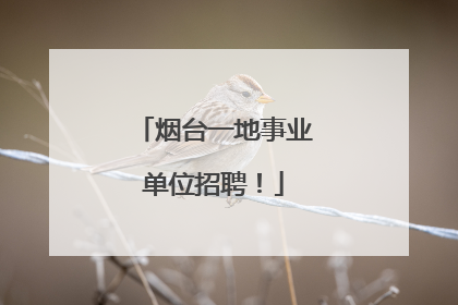 烟台一地事业单位招聘！