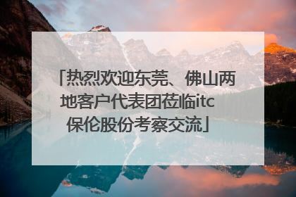 热烈欢迎东莞、佛山两地客户代表团莅临itc保伦股份考察交流