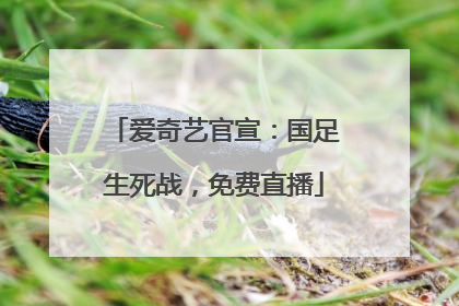 爱奇艺官宣：国足生死战，免费直播